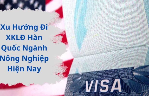 Visa Du Lịch Mỹ