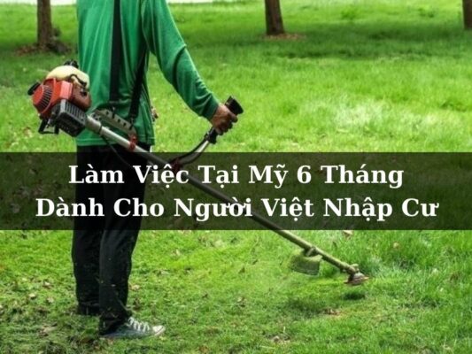 Làm Việc Tại Mỹ 6 Tháng Dành Cho Người Việt Nhập Cư