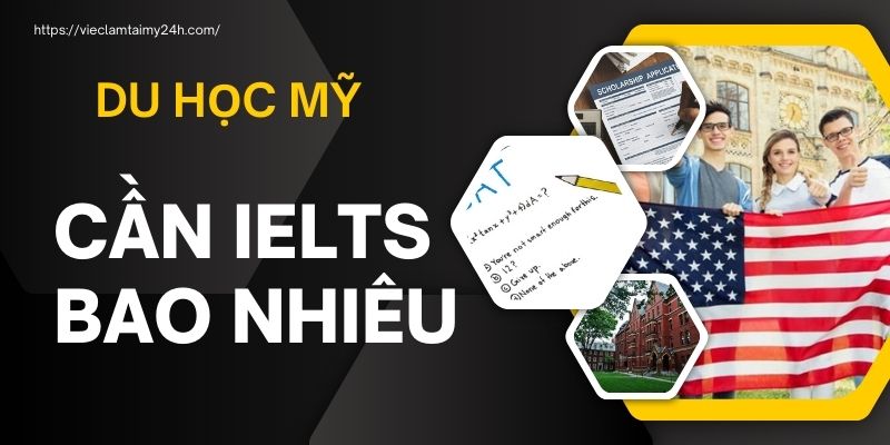 Du Học Mỹ Cần IELTS Bao Nhiêu? Giải Đáp 2024