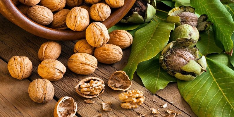 Tuyển Dụng EB3 - Nhân Viên Nhà Máy Hạt Óc Chó Tại Mỹ